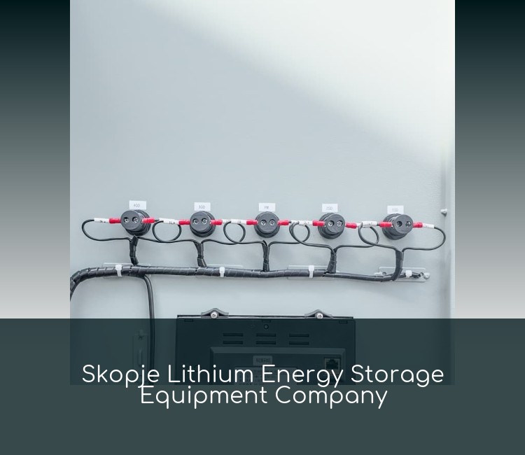 Skopje Lithium Energy Storage Equipment Company