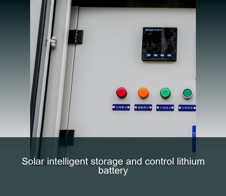 Solar intelligent storage and control lithium battery