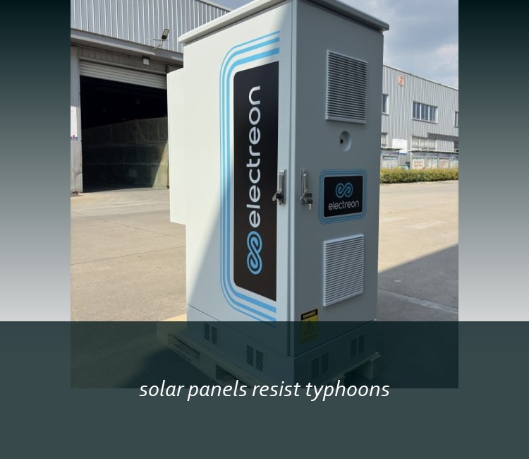 solar panels resist typhoons