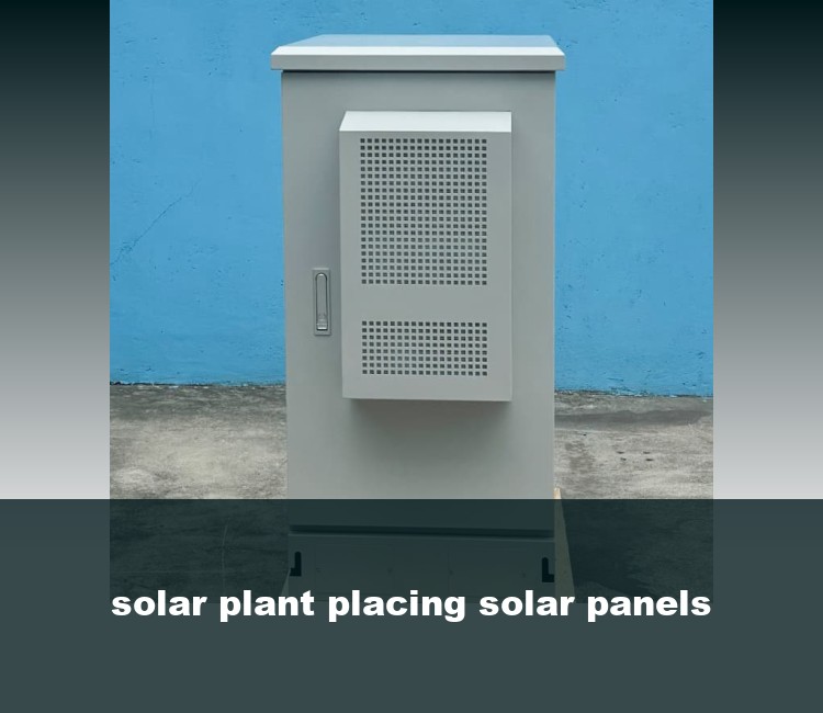 solar plant placing solar panels