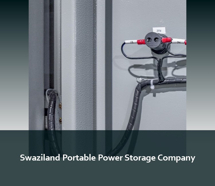 Swaziland Portable Power Storage Company