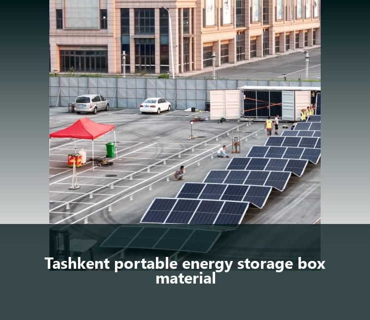 Tashkent portable energy storage box material