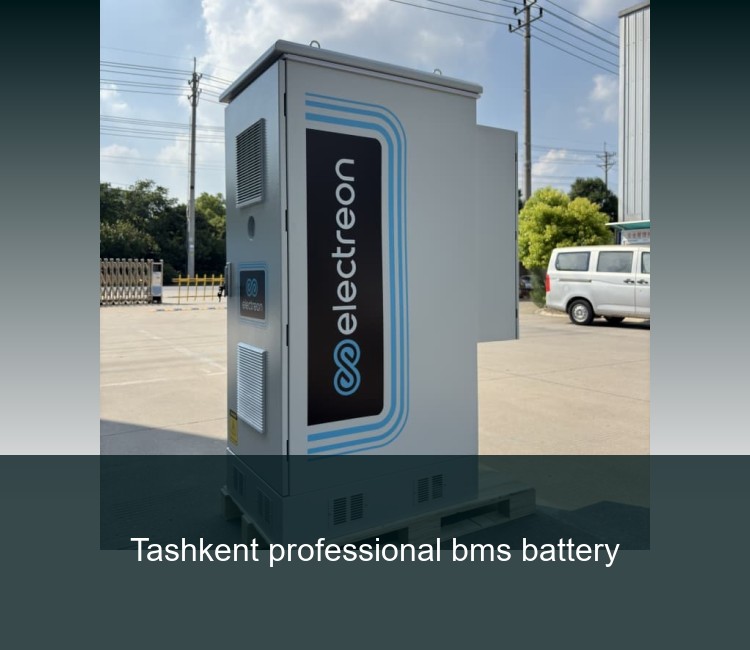 Tashkent professional bms battery