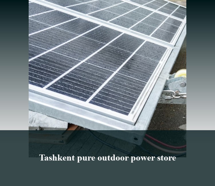 Tashkent pure outdoor power store
