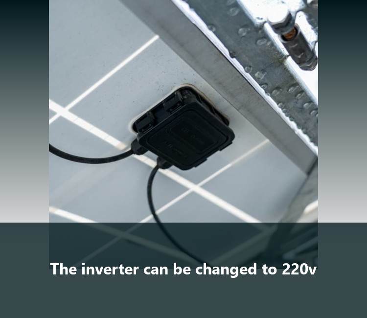 The inverter can be changed to 220v