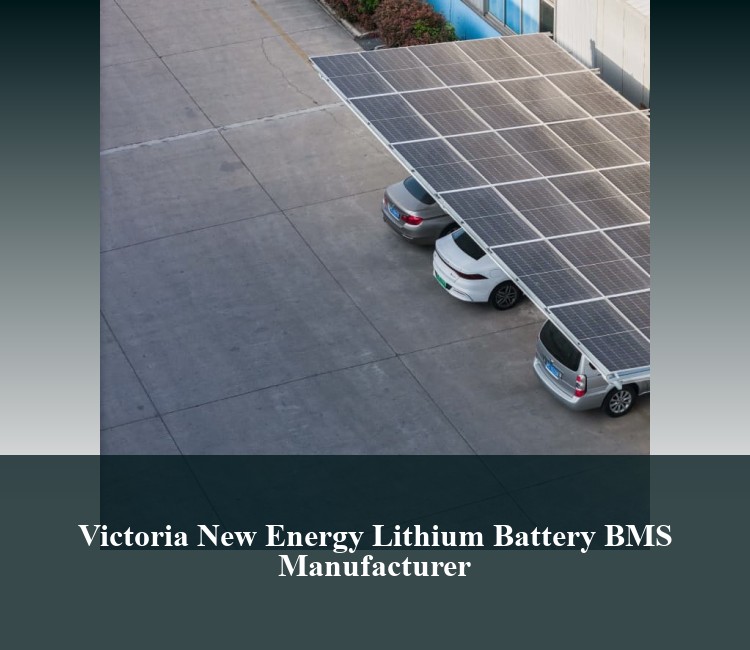 Victoria New Energy Lithium Battery BMS Manufacturer
