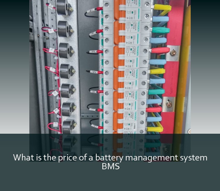 What is the price of a battery management system BMS