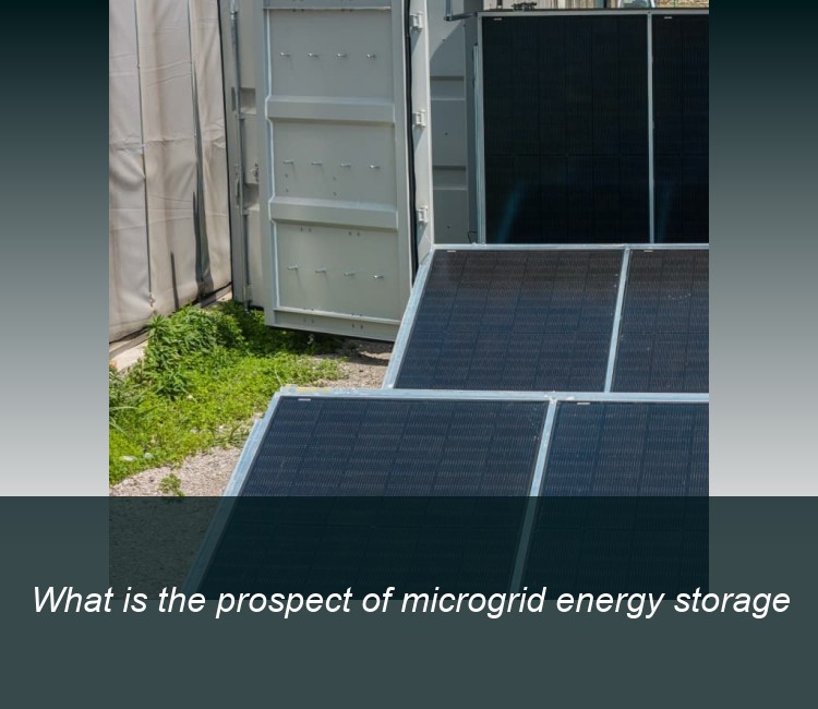 What is the prospect of microgrid energy storage