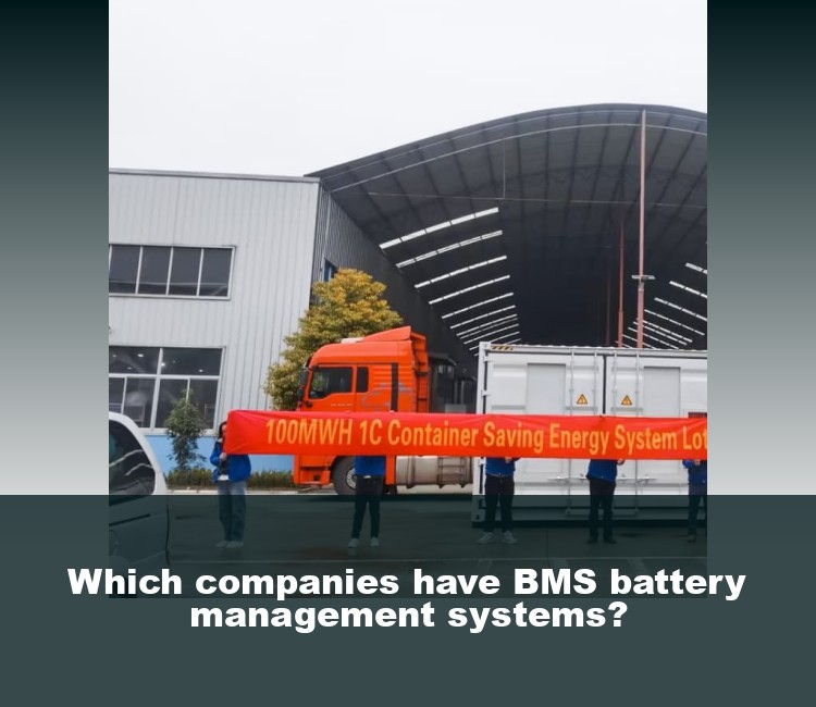 Which companies have BMS battery management systems?