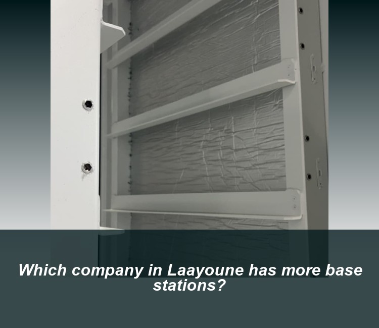 Which company in Laayoune has more base stations?