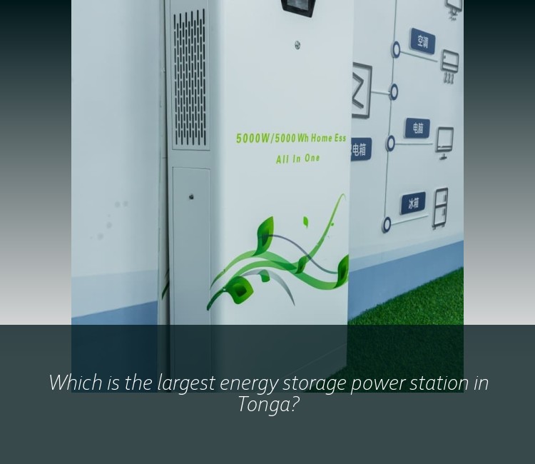 Which is the largest energy storage power station in Tonga?