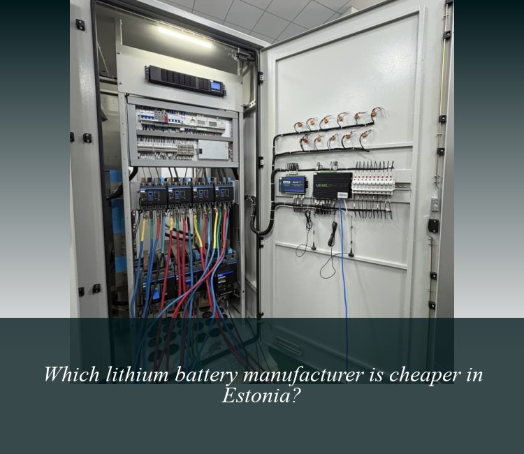 Which lithium battery manufacturer is cheaper in Estonia?