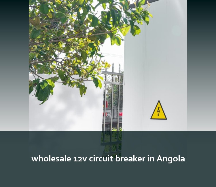 wholesale 12v circuit breaker in Angola