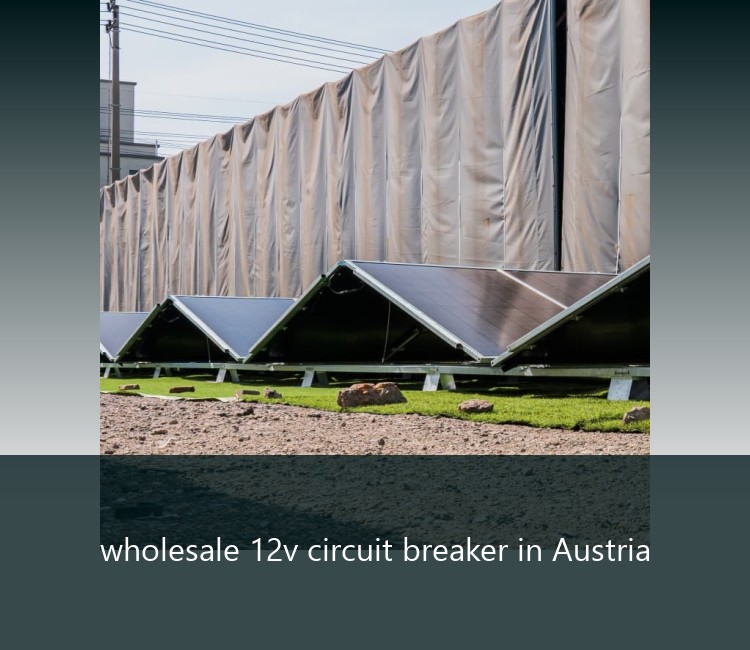 wholesale 12v circuit breaker in Austria