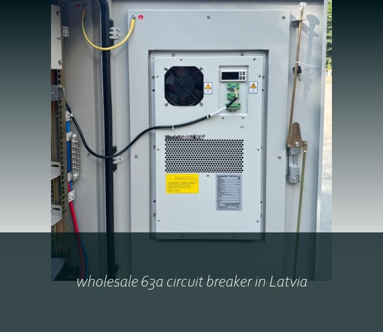 wholesale 63a circuit breaker in Latvia