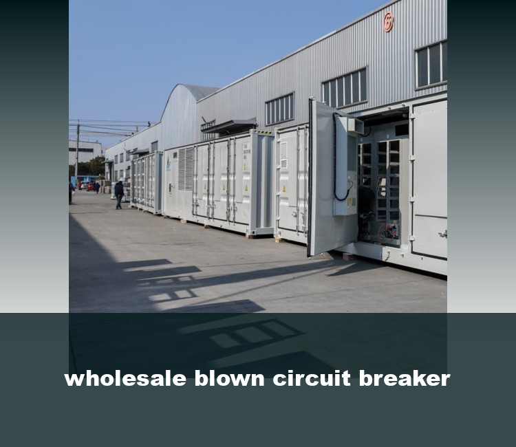wholesale blown circuit breaker