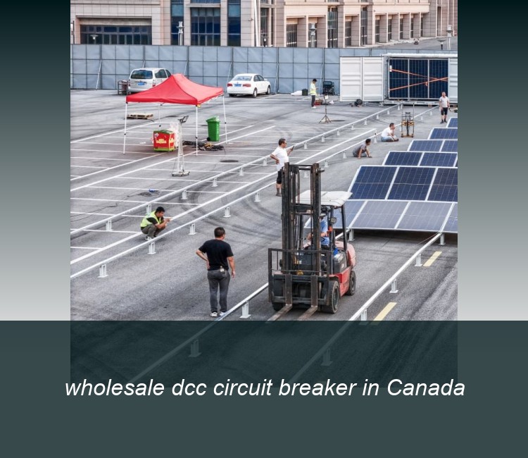 wholesale dcc circuit breaker in Canada