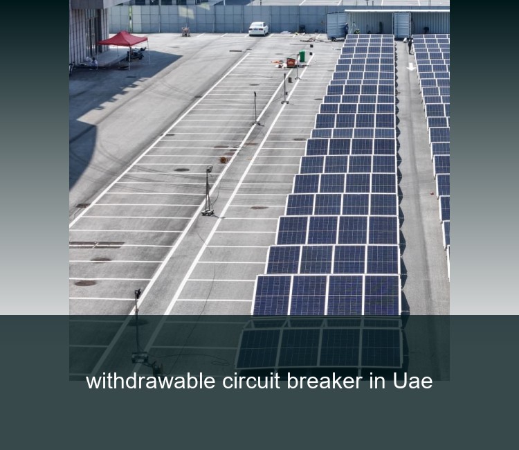 withdrawable circuit breaker in Uae