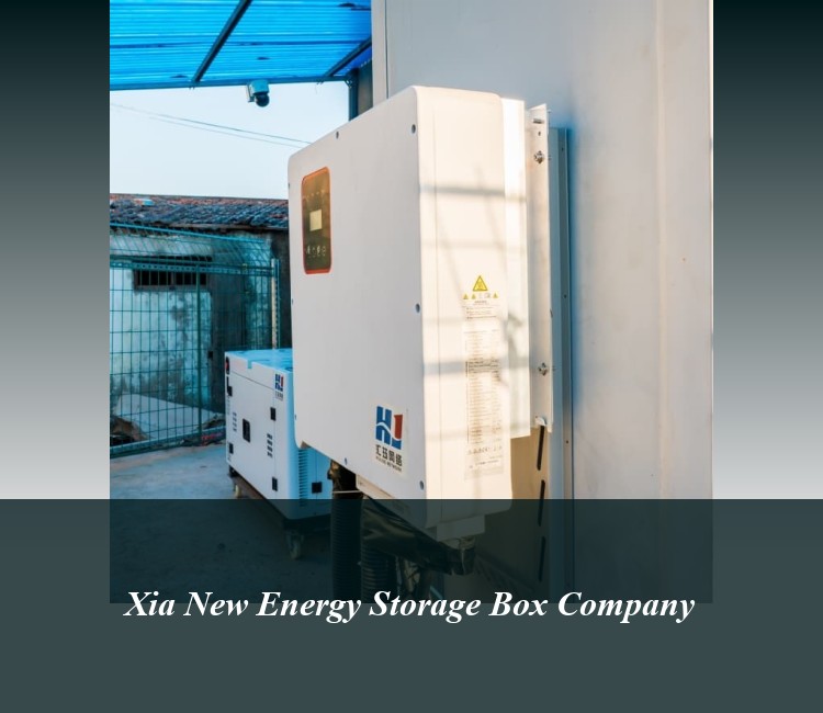 Xia New Energy Storage Box Company